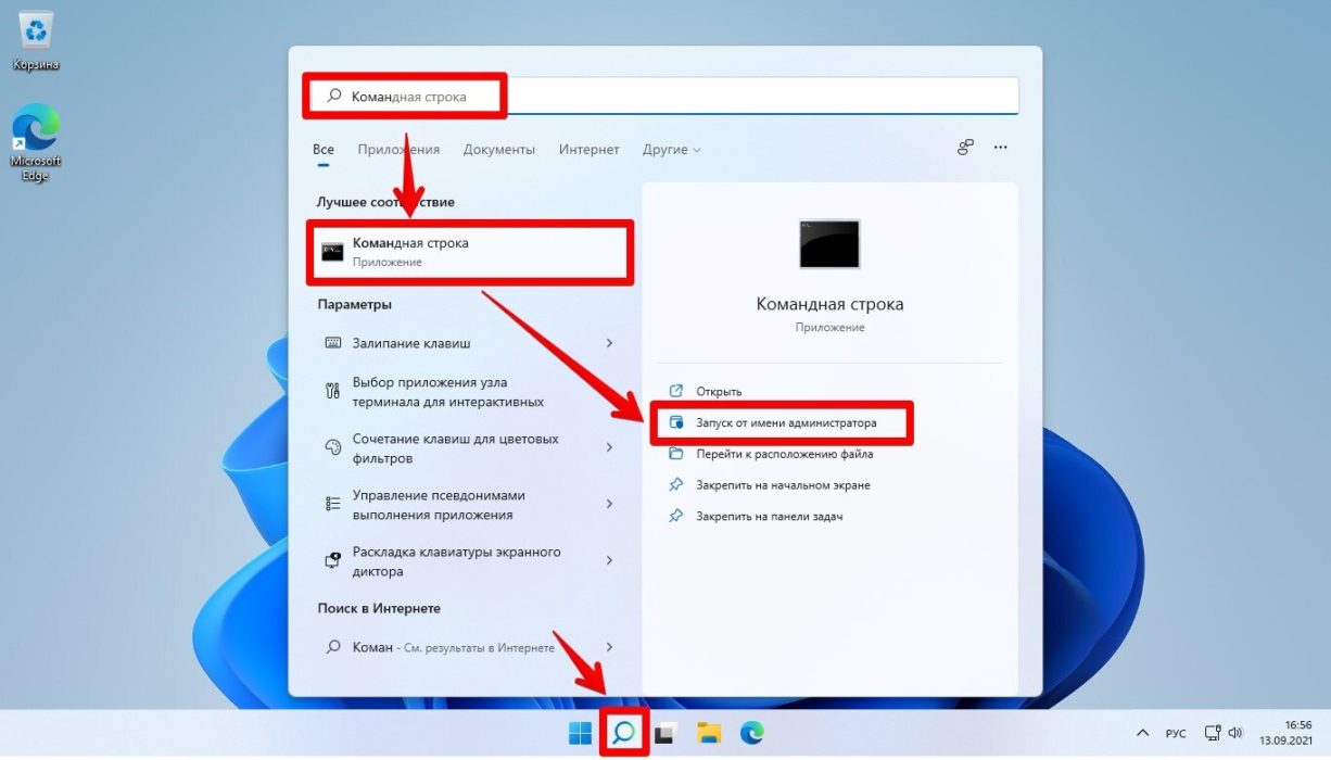 строка поиска на Windows 11